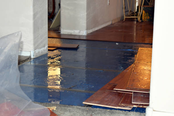 Professional Water Damage Restoration technician working in Chester, MA